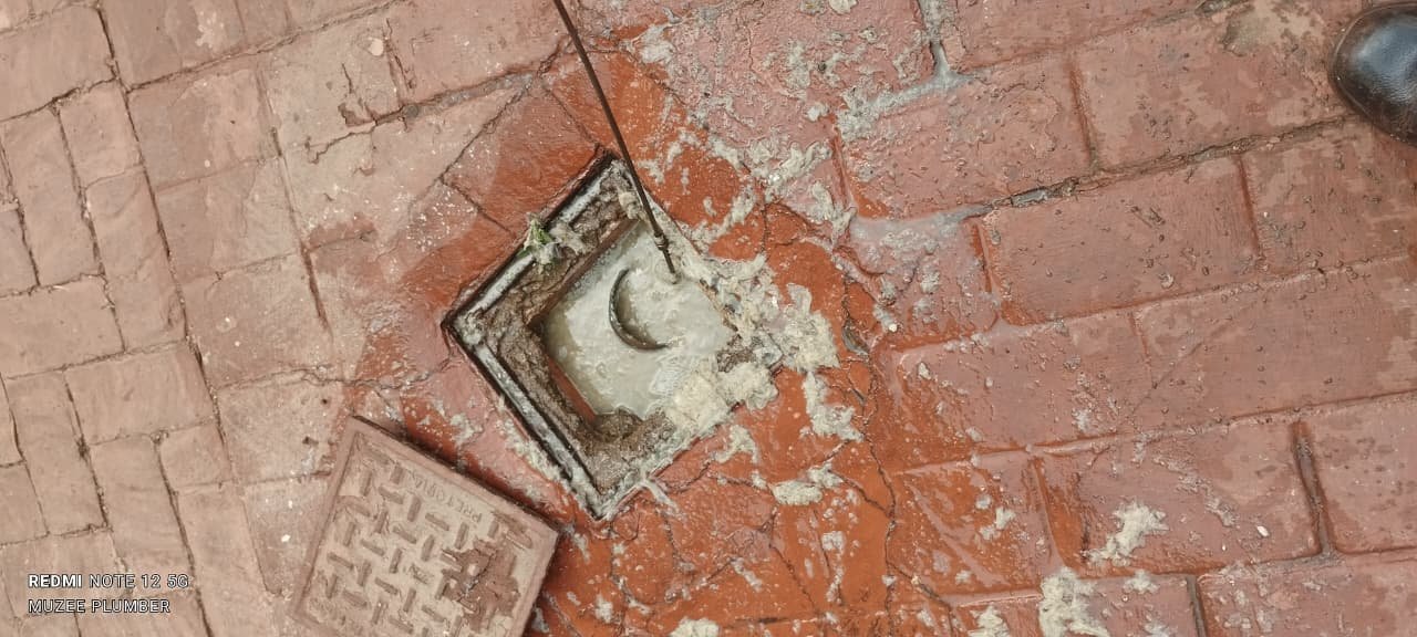 Muzee Plumb Drain Clearing